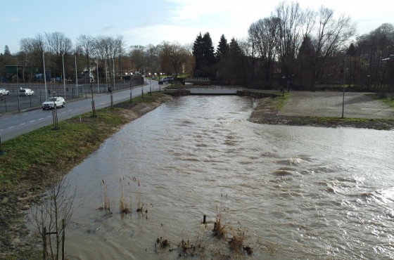 Hoogwatergeul - Brouwers